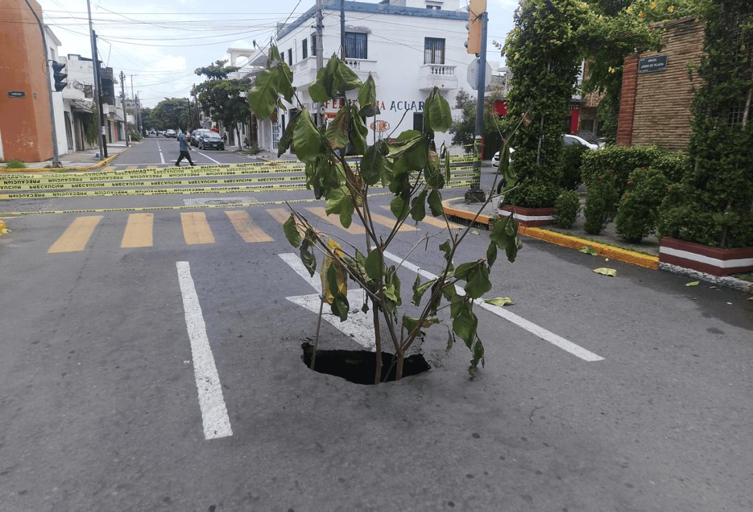 Vecinos alertan sobre hundimiento en calle del Centro de Veracruz