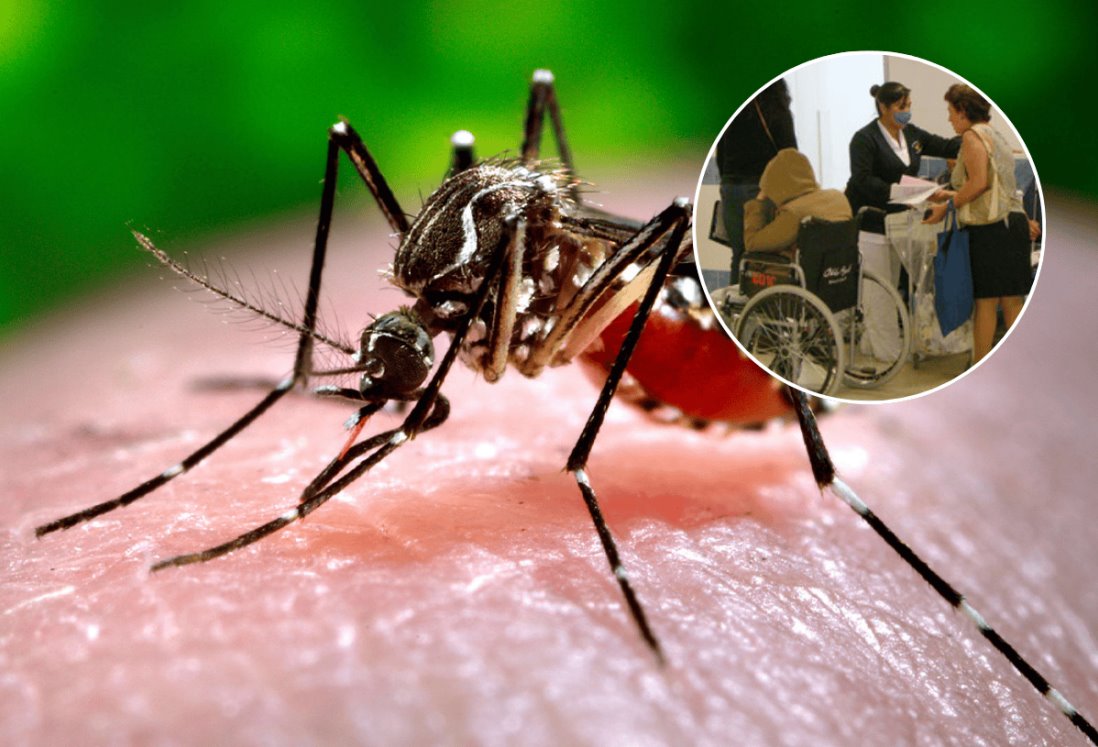 Por el dengue más de 40 personas han perdido la vida en México en 2024