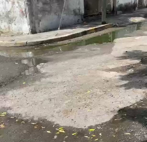 Drenajes tapados podrían inundar a vecinos de la unidad habitacional Ruiz Cortines, Veracruz | VIDEO