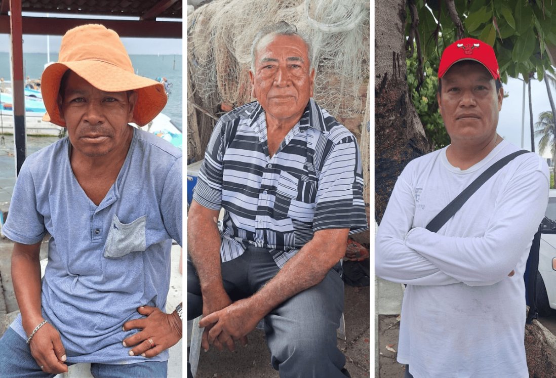 No habrá pulpo en Veracruz por largo tiempo; pescadores explican las razones