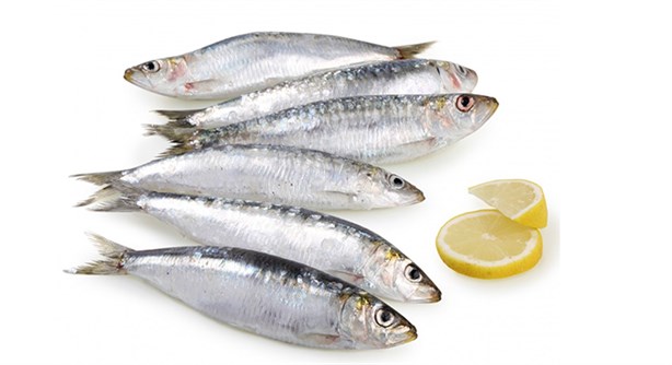 ¿Quieres que tu cuerpo tenga más nutrientes? Este beneficio aporta comer sardina