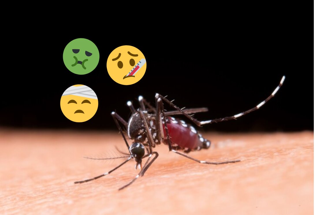 Estos son los síntomas más graves del Dengue