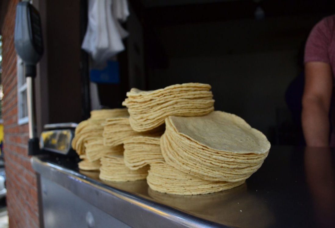 ¿Aumentará el precio de la tortilla en Veracruz? Esto dice la Unión de Molineros