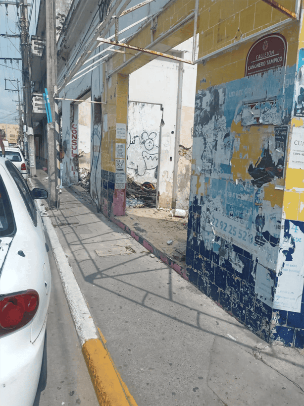 Vecinos piden limpiar peligroso lote baldío entre Díaz Mirón y Cañonero Tampico