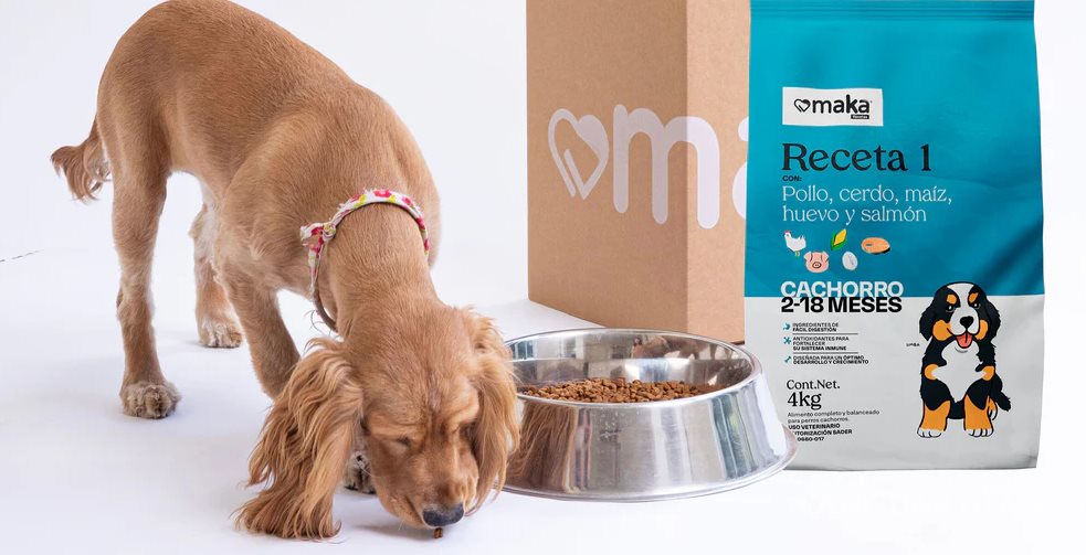 Los beneficios del Omega-3 en la dieta de tu perro