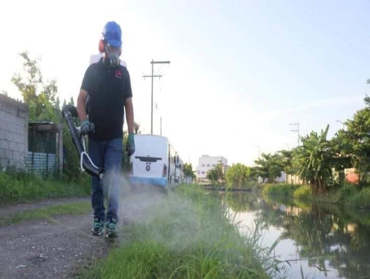 Fumigan calles de Boca del Río para combatir el dengue