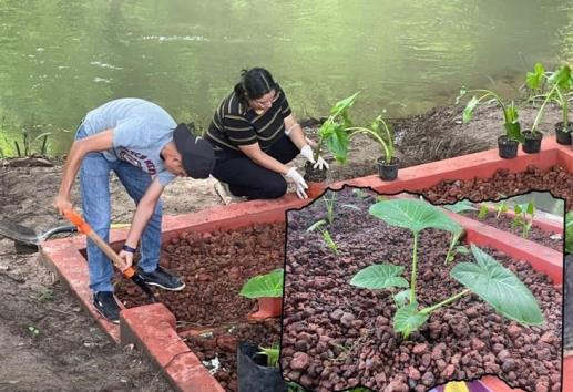 Implementan humedales artificiales para saneamiento del río en Ciudad de los Ahuehuetes