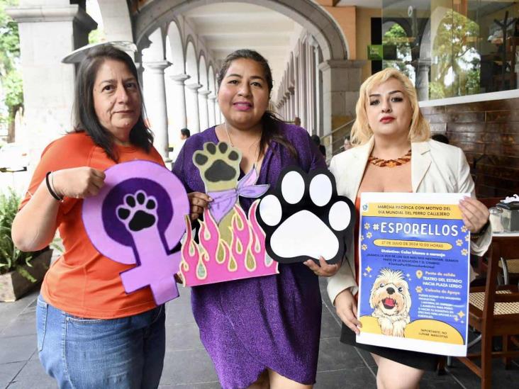 Llaman a sumarse a marcha por la defensa de los animales en Xalapa