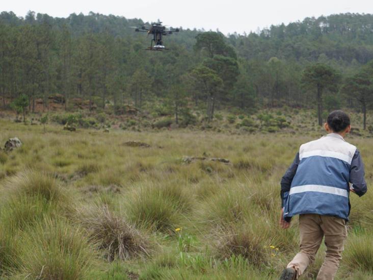 A punto de entrar en acción drones en Veracruz para reforestar zonas siniestradas