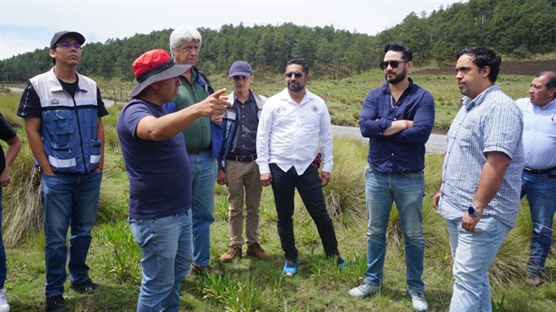 A punto de entrar en acción drones en Veracruz para reforestar zonas siniestradas