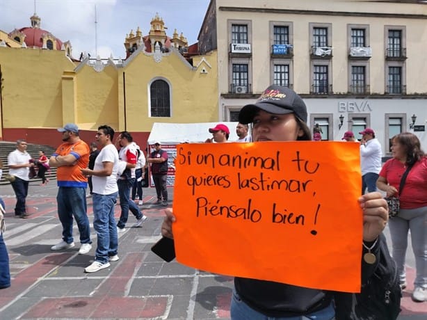 Marchan por los Derechos de los Animales en Veracruz