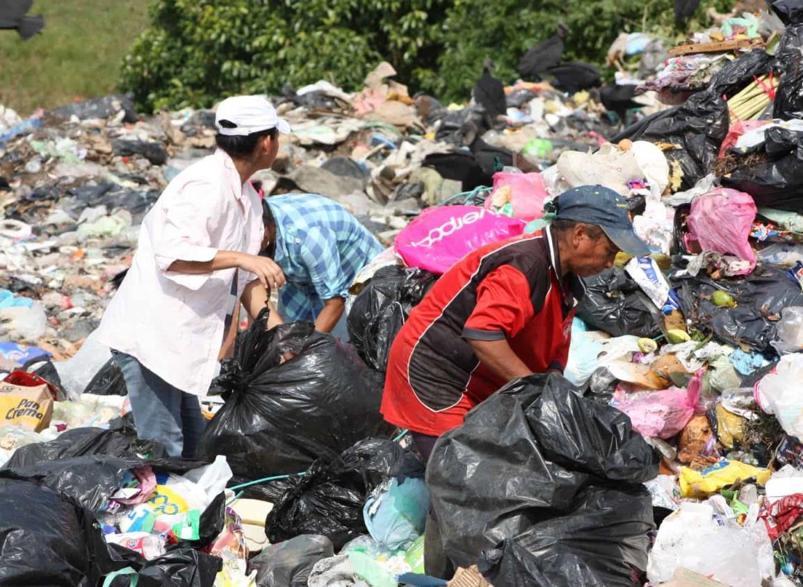 Hidrómilos producen 40 toneladas de basura; reciclaje un reto para las familias: Limpia Pública