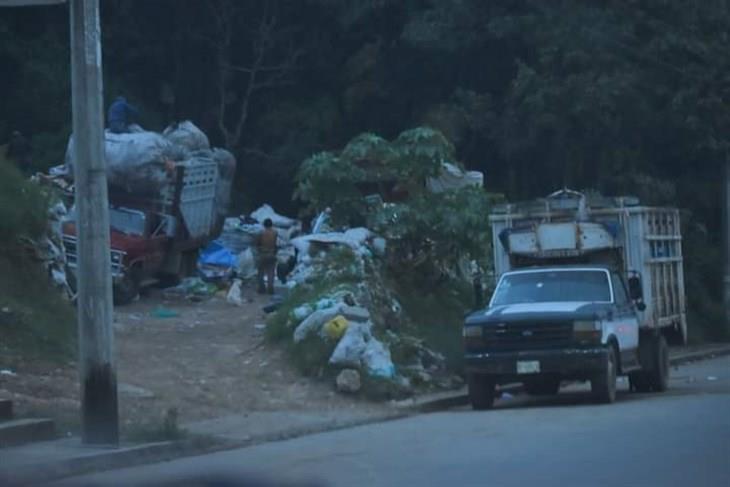 Entre pestilencia y moscas, crece basurero clandestino en Xalapa