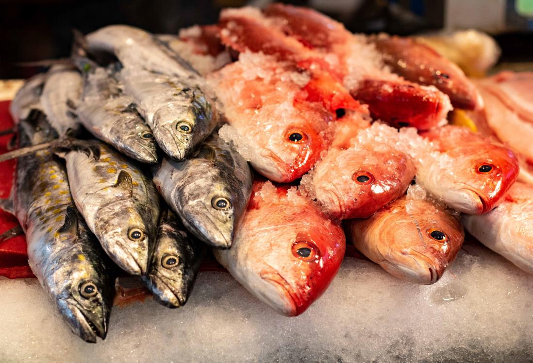 Confían que repunten las ventas de pescados y mariscos en vacaciones de verano