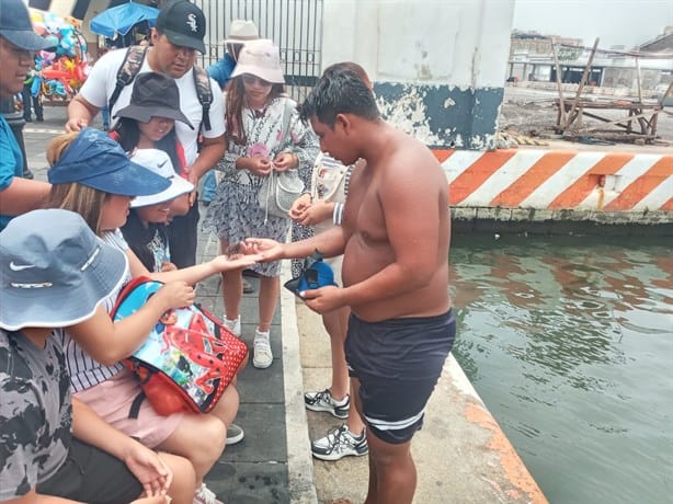 Sacamonedas del Malecón de Veracruz: "Todos los días nos jugamos la vida"