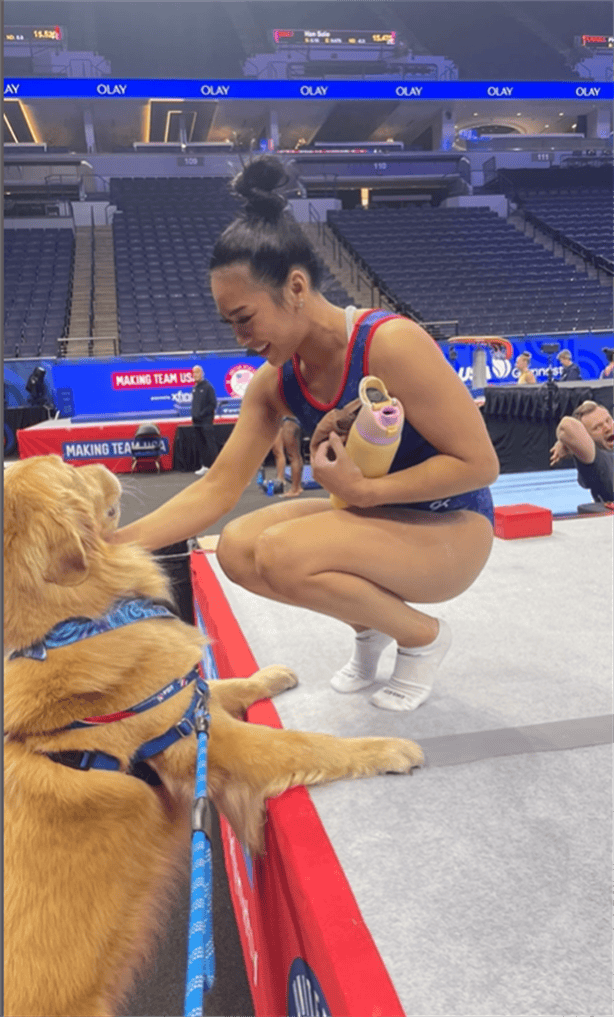 El es Beacon el golden retriever que da soporte emocional en Juegos Olímpicos en París 2024 