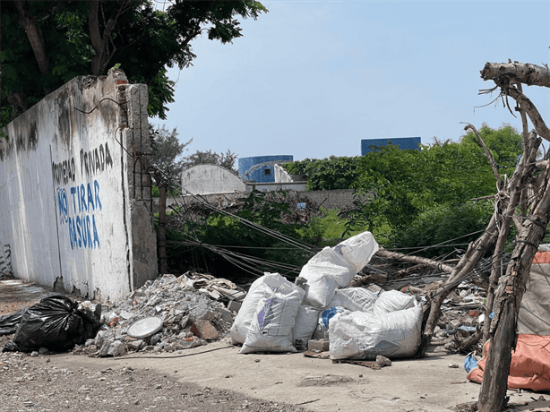 Vecinos de la colonia Pinos en Veracruz lidian con basurero en lote baldío