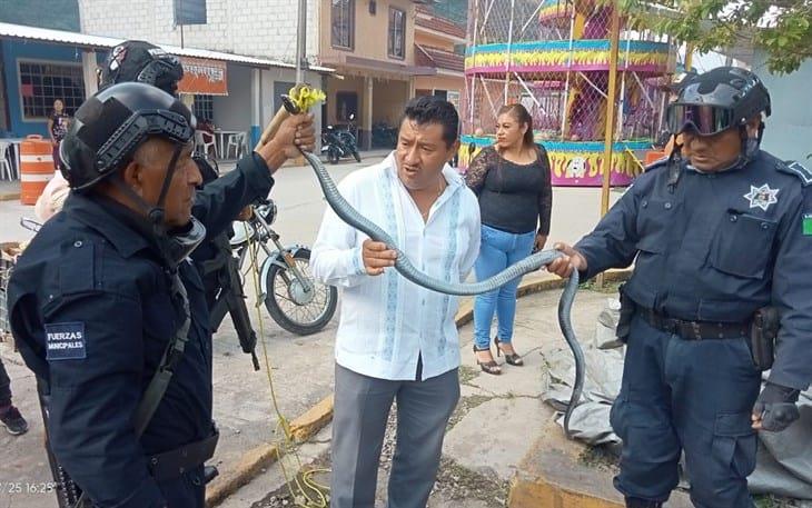 Rescatan serpiente ratonera dentro de un domicilio en Tlilapan