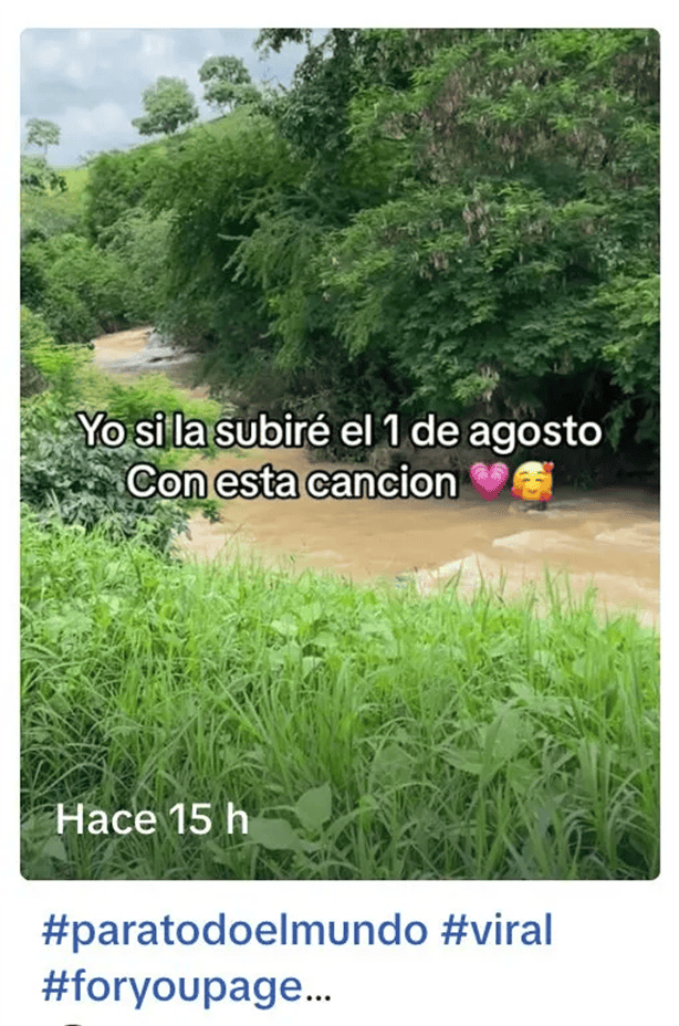 ¿Qué se celebra el 1 de agosto? Fecha viralizada en TikTok