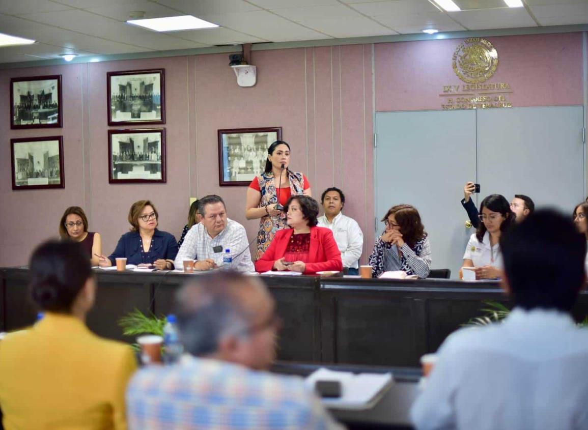 Avanza en Veracruz proyecto de Protocolo para prevenir violencia digital contra la niñez