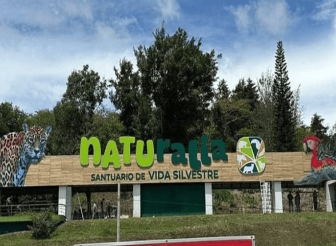 Proyecto Naturalia en la capital Xalapa