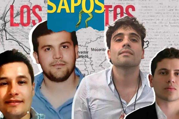 Esta serie motivó a Chapo  Guzmán a recomendar a sus hijos ser soplones de la DEA