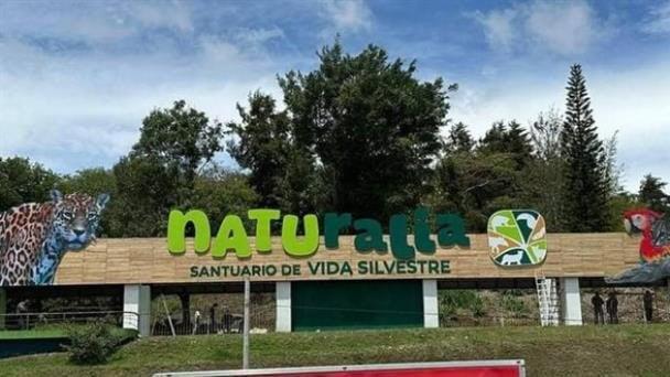 CAFÉ DE MAÑANA: PROYECTO NATURALIA EN LA CAPITAL XALAPA