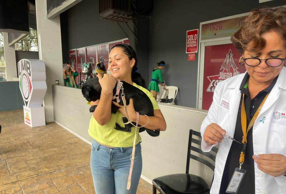 Realizan campaña de vacunación antirrábica para mascotas en Boca del Río