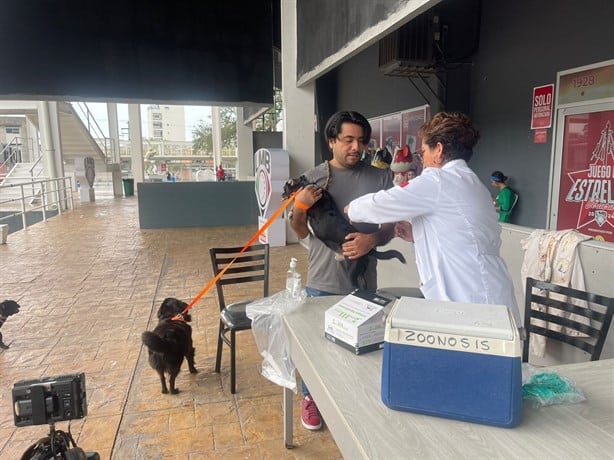 Realizan campaña de vacunación antirrábica para mascotas en Boca del Río