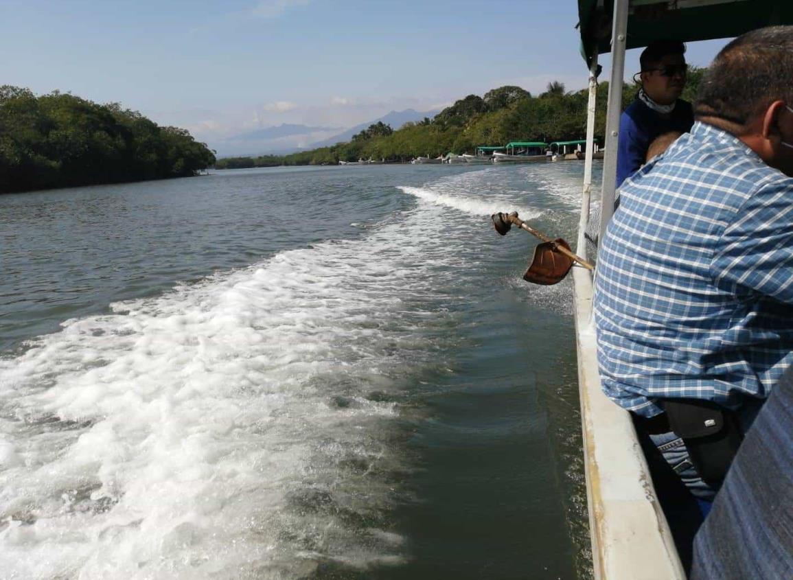 Emiten medidas para cuidar al cangrejo azul y mayacaste en Pajapan