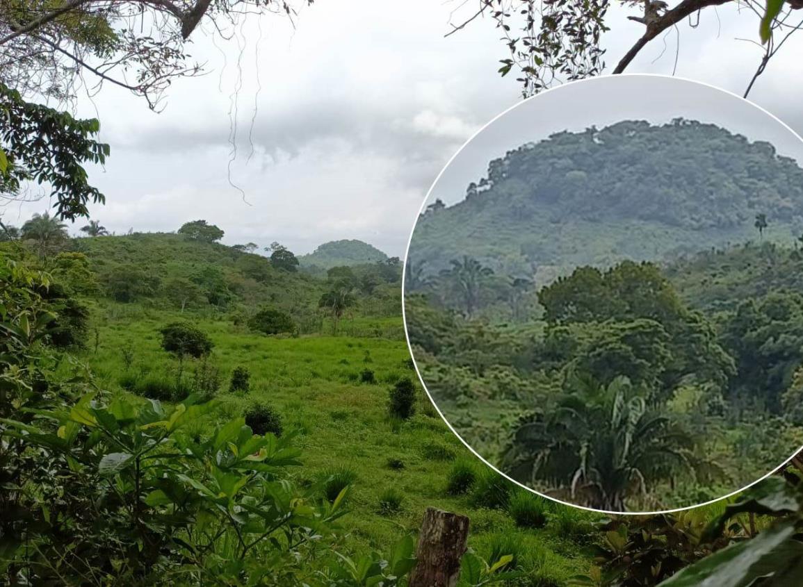 El cerro del murciélago en Moloacán, quien intenta subirlo se pierde; conoce su leyenda