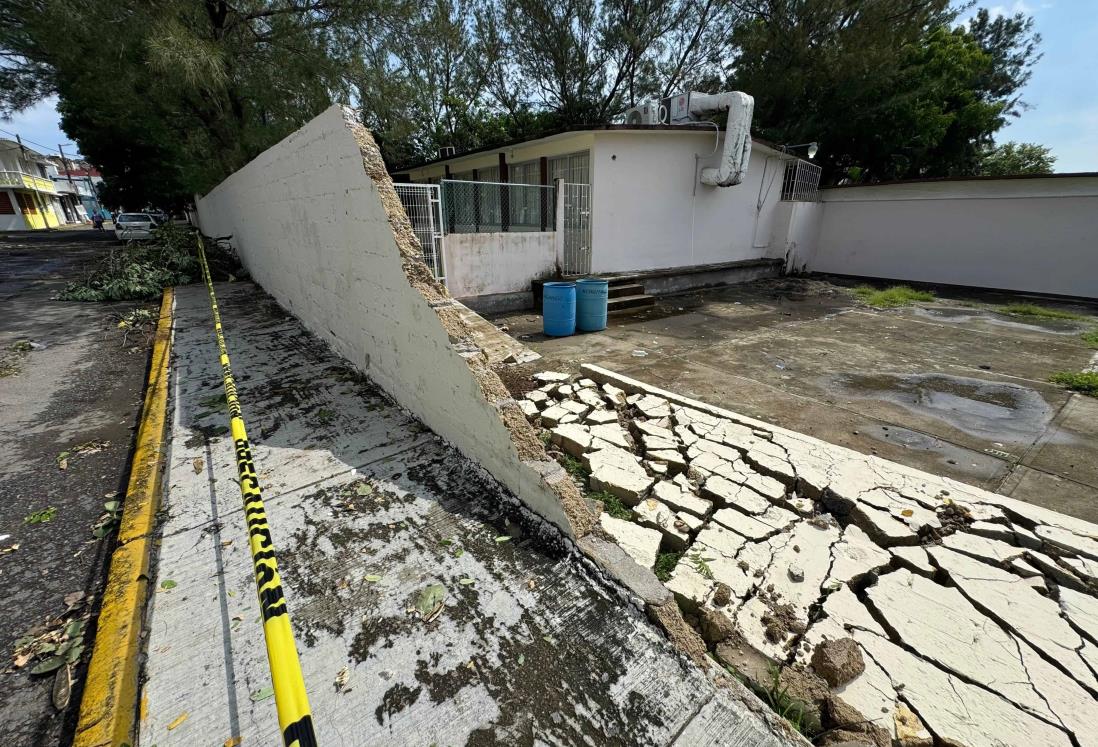 Fuertes lluvias en Veracruz provocaron caída de árbol y barda de una escuela