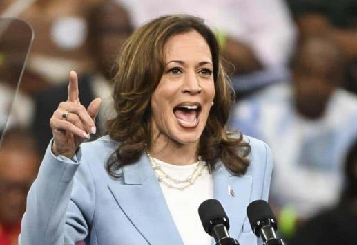 CRECE O MUERE, VENTAS CON ESTRATEGIA: Kamala por Biden: Cambiar candidato, ¿rediseño de producto?