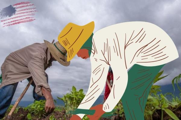 Campo de Veracruz en crisis,  jóvenes prefieren migrar a estudiar