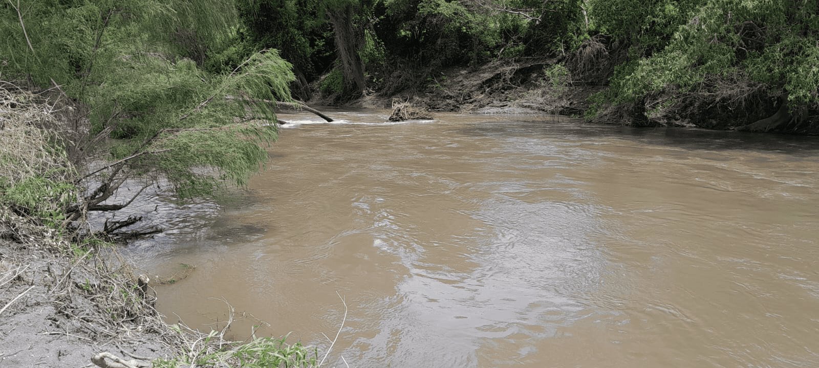 A cuatro días de la tragedia, sigue la búsqueda del pequeño Ángel en el río Jamapa