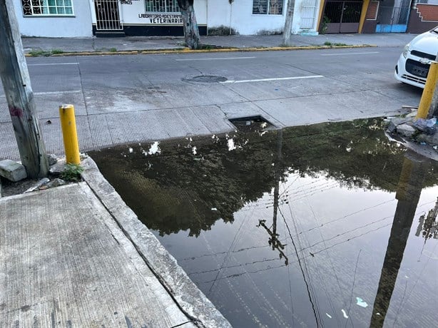 Alertan por fuga de aguas negras en la colonia Ricardo Flores Magón, en Veracruz