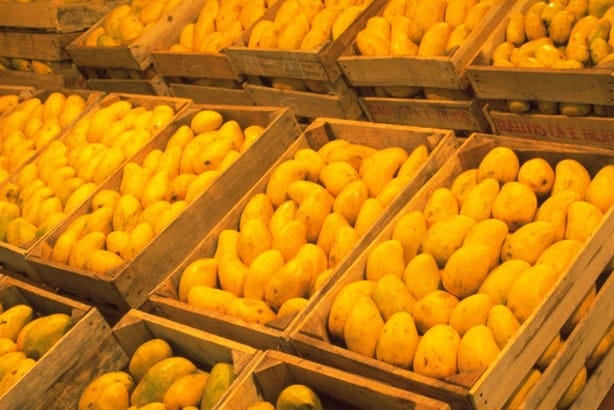 México podría exportar estas 6 frutas nuevas a Estados Unidos