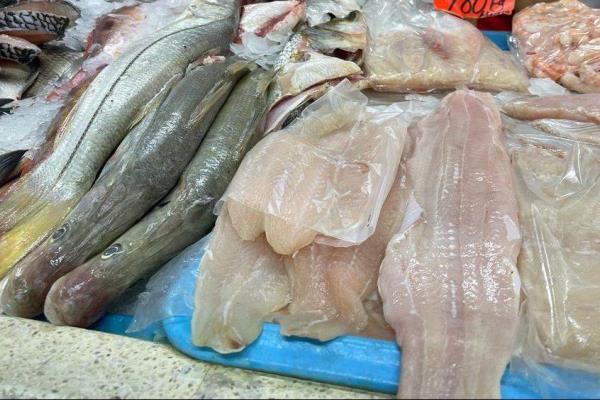 Ventas de pescado en Veracruz bajan en este periodo por gastos escolares