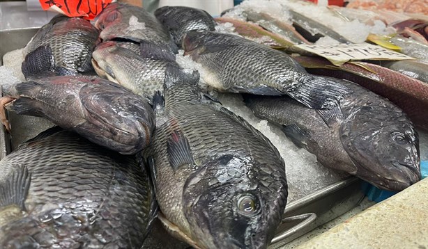 Ventas de pescado en Veracruz bajan en este periodo por gastos escolares