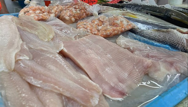 Ventas de pescado en Veracruz bajan en este periodo por gastos escolares