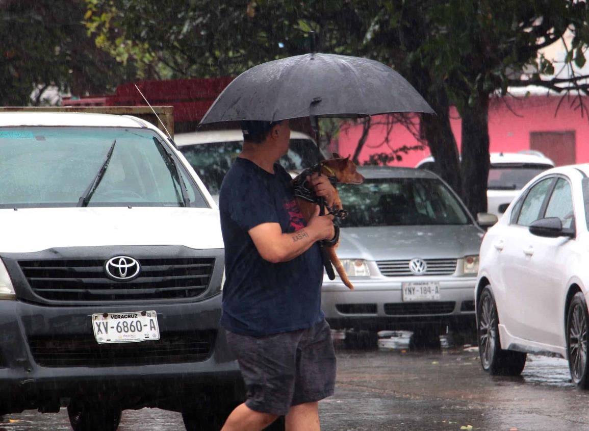 ¿Fin de semana de lluvias en Veracruz?, así estará el clima el sábado 10 y domingo 11