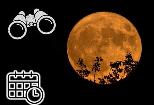 ¿Cuándo y cómo ver la Luna de Esturión de 2024 en México?