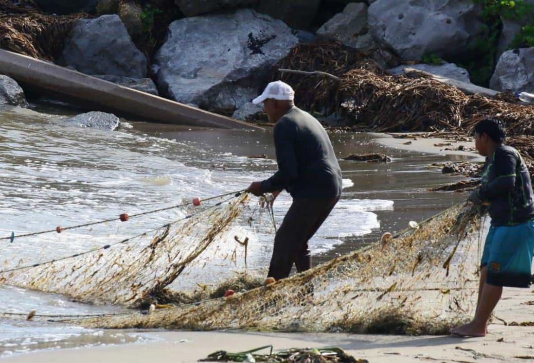 Temporada de pesca en Veracruz podría mejorarse en septiembre: pescadores