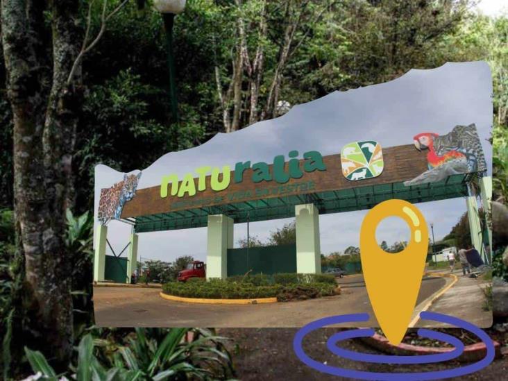 Próxima inauguración de Naturalia en Xalapa