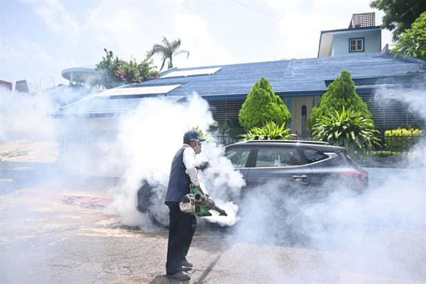 Reforzamos las jornadas de fumigación para prevenir el mosco transmisor del dengue: Paty Lobeira