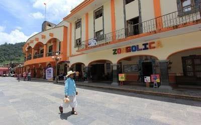 En Zongolica ya hay una víctima por dengue; población pide fumigar