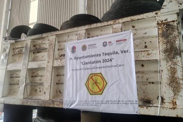 Eliminan criaderos de mosquitos para prevenir casos de dengue en Tequila