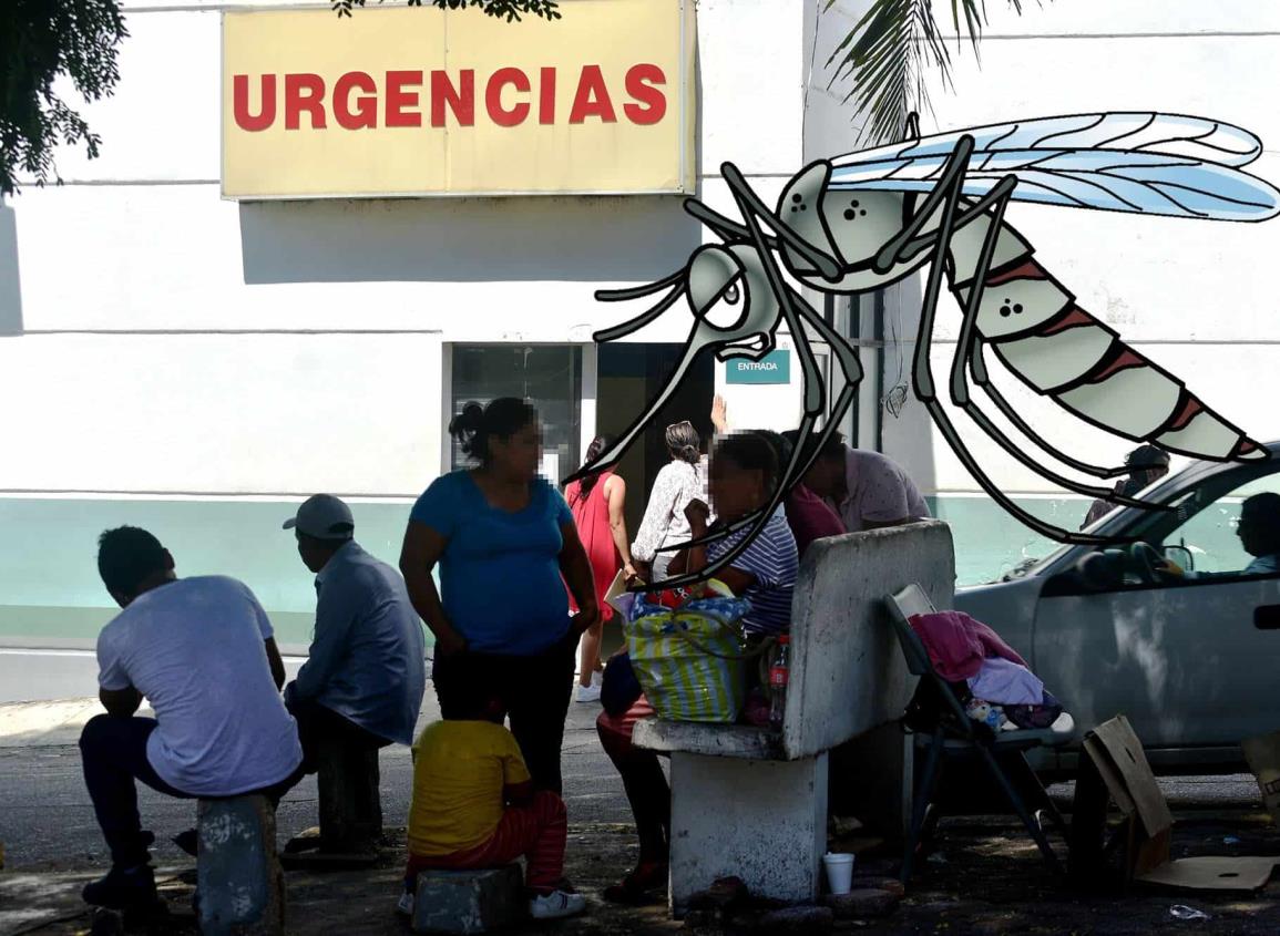 Registran primeros días de agosto alarmante número de fallecimientos por dengue en Veracruz