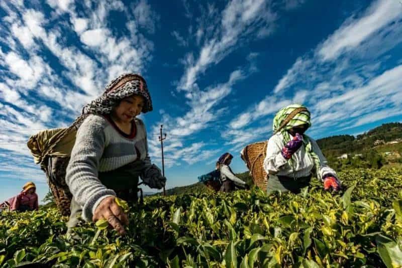 Derecho y estado: Expropiación, una reforma pendiente y urgente 