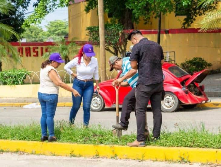 Pondrán en marcha “adopta un árbol en tu banqueta”; programa para reforestar Acayucan